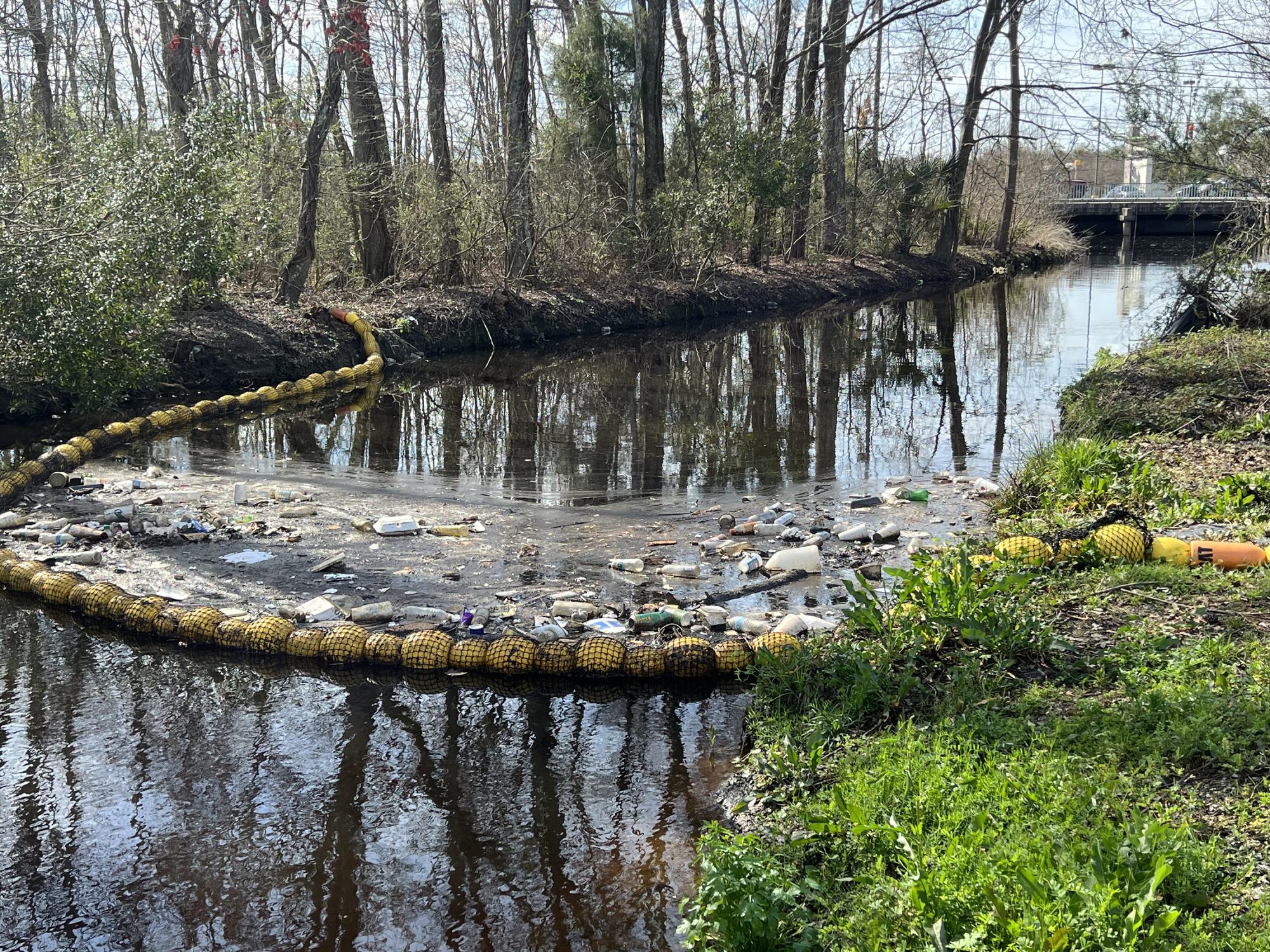 The Watergoats deployed around the state with help from PalmettoPride  include this one in North Charleston. Photo: PalmettoPride. 